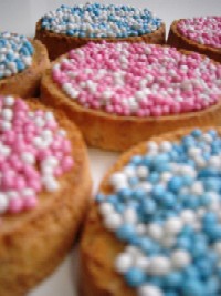 geboorte beschuit met muisjes