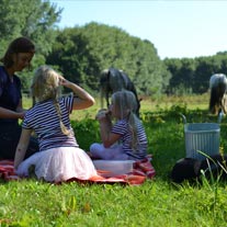 angst voor paarden overwinnen