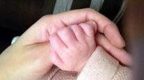 babyhandje met papa's hand