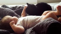 baby met kat