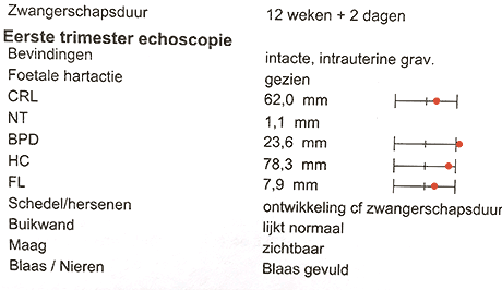 uitleg echoformulier