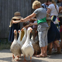 ganzen archeon