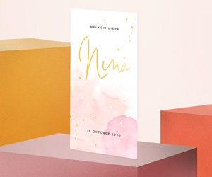 geboortekaartje Nina
