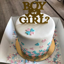 gender reveal taart Petra 1