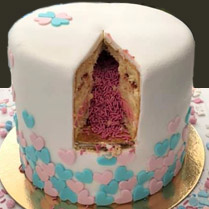 gender reveal taart roze Petra