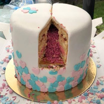 gender reveal taart roze Petra