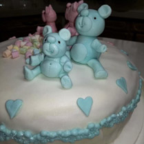 gender reveal tweeling taart daisy