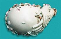 gipsbuik met schelpen