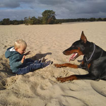 kind en hond spelen op het strand