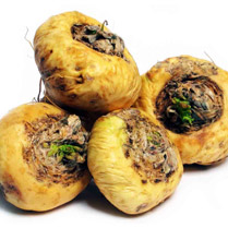 maca wortel