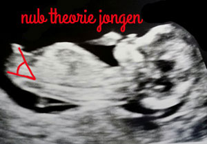 nub theorie jongen
