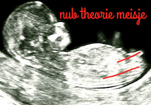 nub theorie meisje