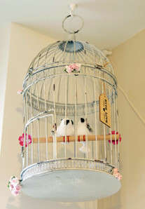 vogelkooi lovebirds