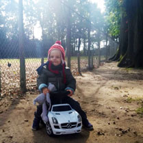 wandelen in het bos leuke dingen