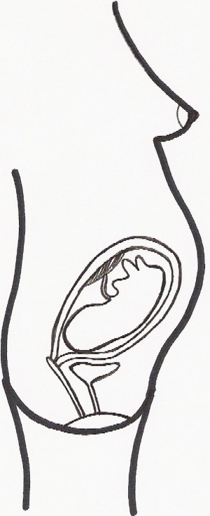 semana de embarazo 27
