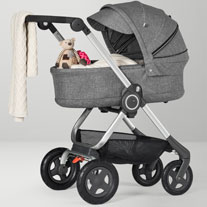 reiswieg Stokke Scoot
