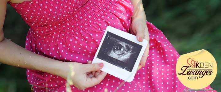 Hoera het is een ...! Echo met geslacht van onze baby | ikbenZwanger