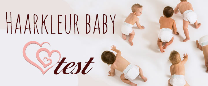 onkruid samenwerken gastheer Welke haarkleur krijgt je baby? De online test voorspelt de haarkleur!