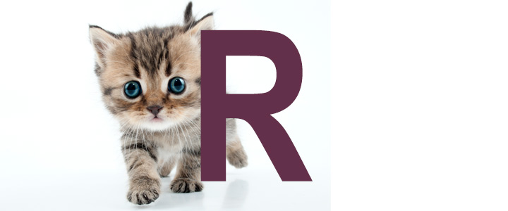 Kattennamen met de letter R | NaamWijzer dierennamen