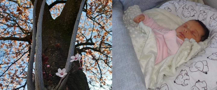 Kindje Klein ik zal voor altijd jouw mama zijn Kindje Klein ik zal voor altijd jouw mama zijn | KindjeKlein