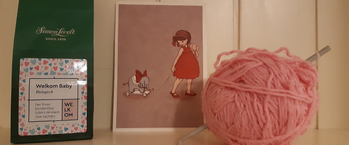 Lanterfanten tijd voor elke (hoog) zwangere meid Lanterfanten tijd voor elke (hoog) zwangere meid