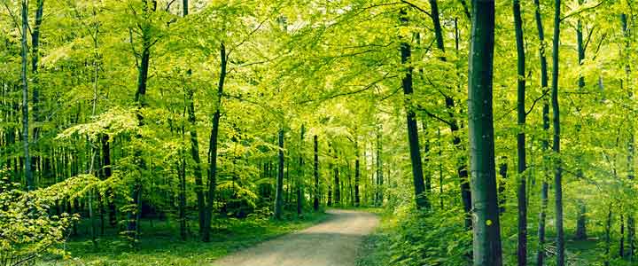 De natuur haast zich niet en toch wordt alles volbracht