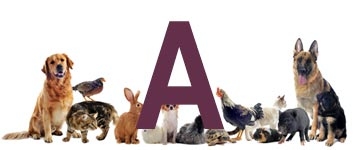 Dieren met een a - dier met a - alle dieren met beginletter a