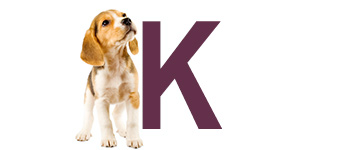 Noms de chien avec K Noms de chien avec K - Noms de chien commencent par K