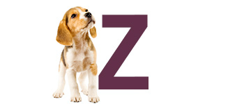Noms de chien avec Z Noms de chien avec Z - Noms de chien commencent par Z