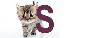 Noms de chat S Noms de chat avec S