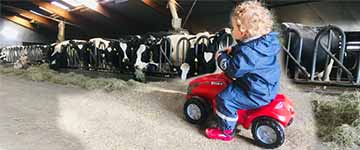 Op de boerderij - Je man delen met 290 zwangere vrouwen