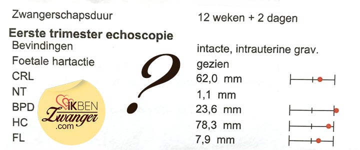 Uitleg echoformulier zwangerschap | ikbenZwanger