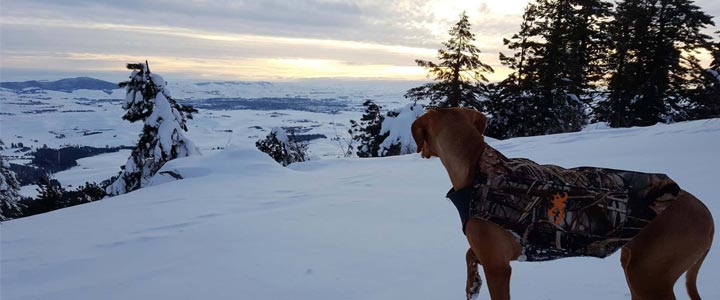 Wandelingetje door de sneeuw - zwanger wandelen in de bergen