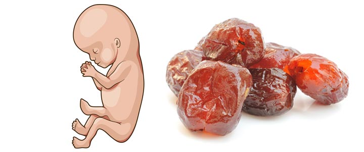 12 weken zwanger | zwangerschapskalender | Zwanger week 12