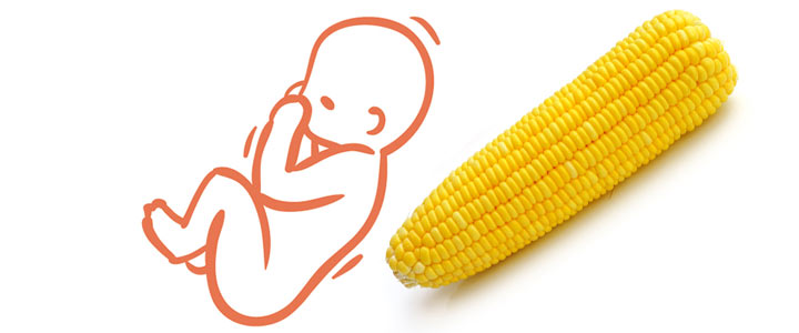 31 weken zwanger | zwangerschapskalender | Zwanger week 31