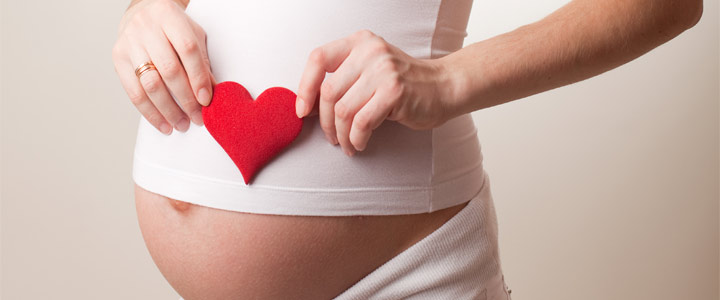 Auroch parallel Deter Zwangerschap in weken en maanden | ikbenZwanger